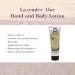 A LA MAISON Lavender Aloe Hand and Body Lotion 240ml | Nourishing Moisturizer for Soft Skin | Buy Internationally - Buy Online on GoSupps.com