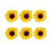 6Pcs Sunflower Hair Clips Hawaii Hairpin Holiday Hair Accessories Floral Hair Bang Party Headpiece for Party Trip