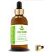 Pure Herbs Pistachio Nut Oil 30ml | Natural Therapeutic Carrier Oil with Dropper | Shop Internationally - Buy Online on GoSupps.com