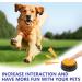 Fivtsme 4-Piece Dog Buzzer with Recording Function | Interactive Pet Training Bell & Sound Buttons for Dogs - Buy Online on GoSupps.com