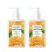 Liquid Dish Soap Fruit and Vegetable Wash Dishwashing Liquid Food Wash Detergent Vegetable Cleaner