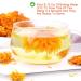 Buy 100% Natural Calendula Tea - Herbal Marigold Flower Tea for Weight Loss | Organic Chinese Flower Tea 35g - Buy Online on GoSupps.com