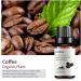 100% Natural Body Oil Nourishes - Essential Coffee Essential Oil - Skin Firming Rejuvenating Oil - Pure Coffee Essential Oil - Coffee Oil Cosmetics for Skin Care (2pc) - Buy Online on GoSupps.com