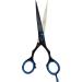 KINZIO Professional Hair Scissor 6.5 inch - Stainless Steel Hair Cutting Shears for Salon, Barbers, Men, Women, Children - Buy Online on GoSupps.com