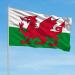 Shachi Great Wales Flag - Welsh Dragon 3ft x 2ft | Polyester Tissue with Brass s for FIFA World Cup Football Rugby & Sports - Buy Online on GoSupps.com
