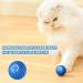 Okdance Smart Interactive Cat Toy Ball 2 in 1 Moving Cats Toy PowerBall Rolling Pet Toy Cat Toys Interactive for Indoor Cats Kitten Small Dog Playing Chewing (Blue Ball) - Buy Online on GoSupps.com