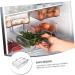 GLEAVI 1pc Box Suction Cup Storage Refrigerator Organizer re-usable White 23.5x17cm - Buy Online on GoSupps.com