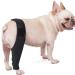 Pet Dog Injury Knee Brace Leg Inflammation Pain Alleviate Leg Support Sheaths for Dogs Outdoor Walking Accessories - Buy Online on GoSupps.com