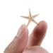 100 Pcs Small Starfish Sea Shells for Beach Crafts - 0.4-1 Inches - Buy Online on GoSupps.com