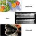 jojofuny 3pcs Vegetable Shaping Mold Planter Mold Melon Shaping Mold Vegetable Shape Mold Modeling Strawberry 20x6.5cm Transparent - Buy Online on GoSupps.com