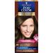 Schwarzkopf Poly Color Hair Colour 41 Medium Brown White 4 Count (Pack of 1)