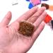 Phecda Sport 15 Cards Tinsel Chenille & Crystal Flash Line Fly Tying Material - 75M - Buy Online on GoSupps.com