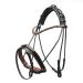 Horse code bridle dream forest warmblood