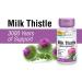 SOLARAY Milk Thistle Seed Extract 175mg | Antioxidant Healthy Liver Function | Silybum Marianum 80% Silymarin| 120 VegCaps Natural - Buy Online on GoSupps.com