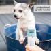 Mighty Mutt Natural Hypoallergenic Dog Shampoo & Conditioner - Anti-Itch, Soothing, Deodorizing (9oz) - Buy Online on GoSupps.com