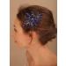 Deniferymakeup Women Sapphire Hair Comb Blue Crystal Rhinestones Bride Wedding Hair Accessories for Brides Crystal Bridal Hair Comb for Women and Girls (Style 3) - Buy Online on GoSupps.com