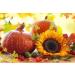 Organic Sprouted Seeds Mix - Raw & Non-GMO Snack with Pumpkin and Sunflower Seeds - Vegan Superfood - 1lb Pack - Kosher Certified - Buy Online on GoSupps.com