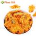 PlantGift Calendula Tea 35G/1.23oz Herbal Tea (Calendula Officinalis) Marigold Tea Pure Herbal Tea Caffeine-Free No GMOs Chinese Tea - Buy Online on GoSupps.com