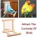 NA 2 Pcs Bird Mirror Parrot Hanging Swing Bird Swing Hanging Toy for Parakeets Conures Cockatiels Macaw - Buy Online on GoSupps.com