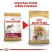 Royal Canin Dog Food Cavalier King Charles 27 Dry Mix 7.5kg - Buy Online on GoSupps.com