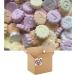 ABC Letters Fruit flavour candy Sweet 1kg - Buy Online on GoSupps.com