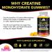 Creatine Gummy Supplement- Lemon Flavored Creatine Monohydrate Pre Workout Chews for Energy Boost Creatine Supplement for Building Muscle and Strength Vegan Non-GMO 90 Count - Buy Online on GoSupps.com