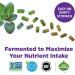 New Chapter Men's 50 Plus Multivitamin - Every Man's One Daily 55+ | Fermented Probiotics, Whole Foods, Astaxanthin | 90ct - Buy Online on GoSupps.com