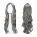 Euppsiiu Long Wavy silver gray wig for women girls 27 Long curly full hair wavy heat -resistant wig women cosplay costume charming wig for daily carnival (silver)