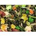 Bubimex | Rodent Food Bucket 3 kg - Buy Online on GoSupps.com