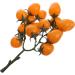 OUNONA 10pcs Faux Cherry artificial cherry tomatoes model grapes plant sculpture Grape mini autumn Longan raisin cherries Model litchi reward office vase realistic fruit Yellowx10pcs 12X20CMx10pcs - Buy Online on GoSupps.com