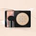 PW TOOLS BB Air Cushion Foundation - Moisturizing Concealer Cream CC Cream Head | Whitening Makeup Waterproof Lightening Makeup Base - Buy Online on GoSupps.com