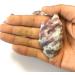 1PC Natural Stone Plum Blossom Tourmaline raw specimens Home Decoration raw s gem Collection Can be Used for (Size : 100-120g) HOMEZHOU (Size : 100-120g) - Buy Online on GoSupps.com