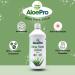 AloePro High Strength Aloe Vera Juice - 1000ml Bottle for Hydration and Digestive Health - Buy Online on GoSupps.com