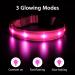 Masbrill LED Dog Collar - Waterproof Adjustable Luminous Safety Collar with 3 Flashing Lights for Small Medium Large Dogs - Pink XS (25-35cm) - Buy Online on GoSupps.com