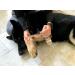 Banixx Pet Care 8oz - Fungal & Bacterial Infection Treatment for Pets - Buy Online on GoSupps.com