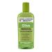 Hollywood Beauty Olive Oil ScalpTreatment 8 oz (Pack of 4)