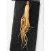 Fresh Ginseng Root Renshen (250g(0.55pounds))