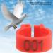 Yosoo Health Gear Pigeons Leg Bands Bird Leg Rings 100PCS 8MM 001-100 Numbered Plastic Letter Pigeons Bird Leg Bands Rings(red) - Buy Online on GoSupps.com
