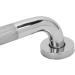 Waterproof Non-Slip Shower Handle - 12 Inch Hospital-Grade Bathroom Support for Injured | Durable & Stable - Buy Online on GoSupps.com