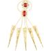 Belly Dance Gypsy Egyptian Gold Bracelet Finger Nails Artificial Red jewelry 5 set (Gold) - Buy Online on GoSupps.com