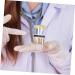 Urine Temp Strips 25pcs | Fish Tank Test Strips | Urinalysis Sticker - Buy Online on GoSupps.com