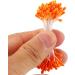 DECORA 20 Bundles 1700 Pieces 3mm Pearl Flower Stamen - Assorted Colors for Card Making Decoration - Buy Online on GoSupps.com
