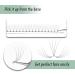 Premium 4D C Curl Premade Fans - 320 Soft Individual Eyelash Extensions | International Shipping - Buy Online on GoSupps.com