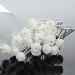 Yantu Women's Flower Hair Pins for Wedding - 20 Pcs White Bridal Hair Accessories - Buy Online on GoSupps.com
