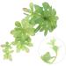 Zerodeko 2 Pcs Simulation Plant Succulent Outdoor Small Greenery Decor Artificial Succulents Photo Mini Decor Plants Wedding Scene Layout Prop Plastic Child Christmas The Flowers Greenx2pcs 29x18cmx2pcs - Buy Online on GoSupps.com