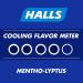 Halls Menthylyptus Drops 30ct - Soothing Relief for Cough and Sore Throat - Buy Online on GoSupps.com