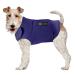 American Kennel Club Anti Anxiety and Stress Relief Calming Coat for Dogs, Extra Large, Blue 1 Blue Extra Large