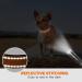 Taglory Dog Collar - Soft Padded Neoprene Nylon for Puppies | Adjustable & Reflective XS (1 Pack) - Brown - Buy Online on GoSupps.com