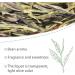 LWXLJMJZC-LongJing (Dragon Well) Green Tea Loose Leaf - Chinese Green Tea Leaves - 100g/3.52oz 100g(3.520z)longjing Green Tea - Buy Online on GoSupps.com