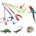 Buy Buidi Portable 8-Shaped Pet Traction Rope for Birds Hamsters Turtles & Lizards - Green | International Shipping Available - Buy Online on GoSupps.com